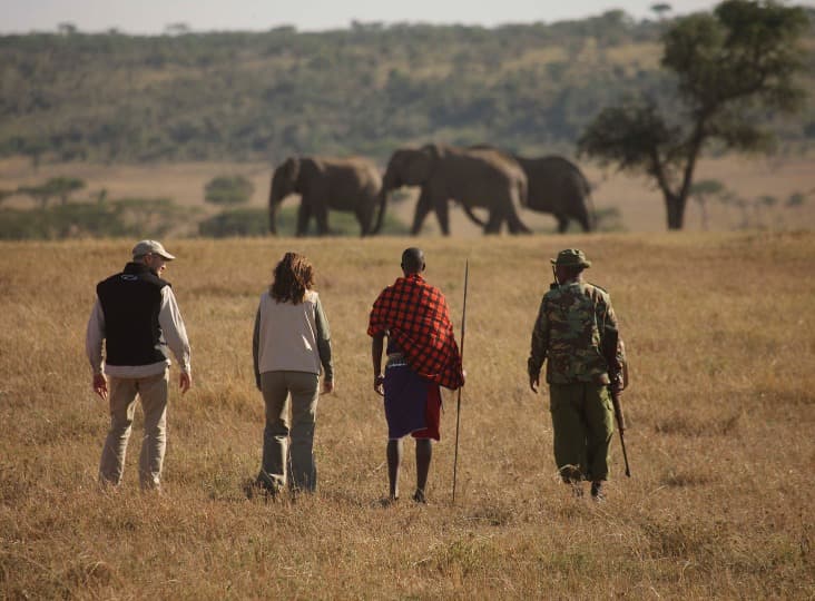 Kenyas savanne — åpent landskap med rikelig dyreliv i private reservater utenfor Masai Mara