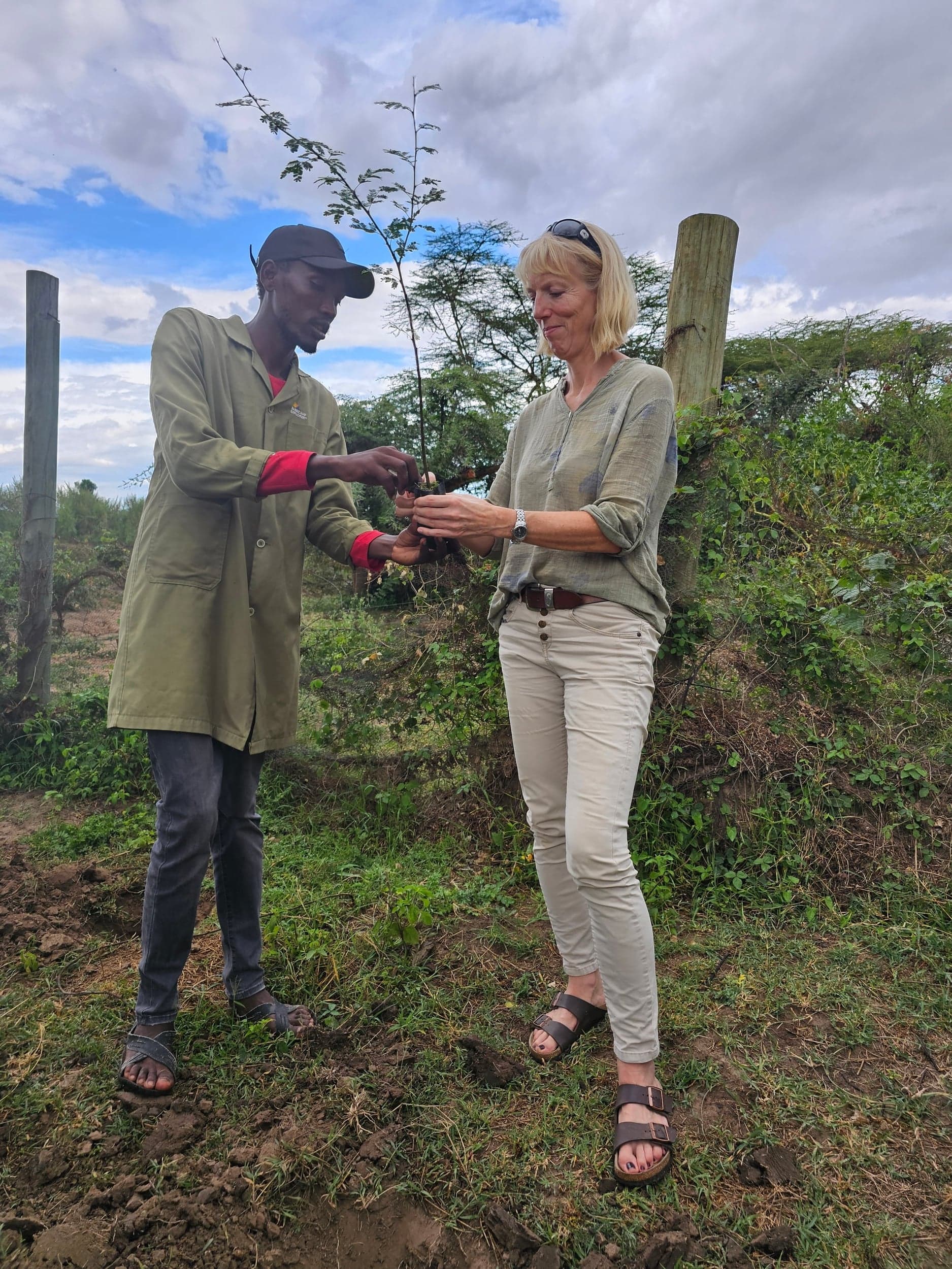 Treplanting i Masai Mara — UHURU-skogen vokser med hver gjest